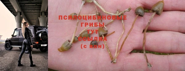 ешки Алексеевка