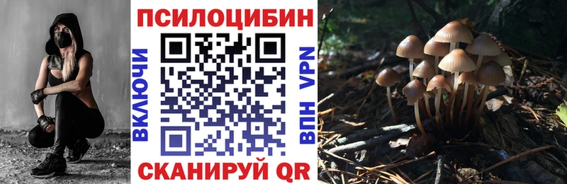 где можно купить   Арамиль  Галлюциногенные грибы ЛСД 